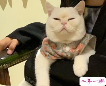 情侣公布恋情的高端的文案 有趣的朋友圈秀恩爱文案2