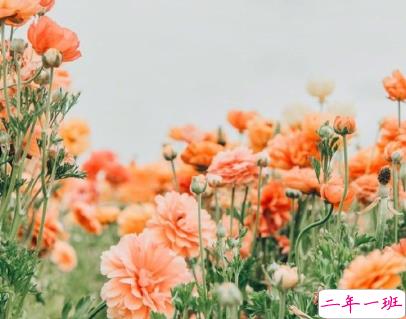 一句话哲理句子人生感悟 人生没有白走的路2