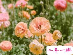 一句话哲理句子人生感悟 人生没有白走的路