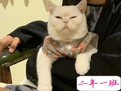 情侣公布恋情的高端的文案 有趣的朋友圈秀恩爱文案