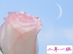 有哲理的句子励志精辟 努力是会上瘾的