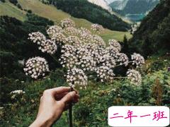 哲理句子简短精辟 有内涵吸引人的哲理说说