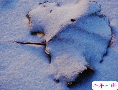 十二月你好富有哲理的心情说说 2019最新哲理短句子1