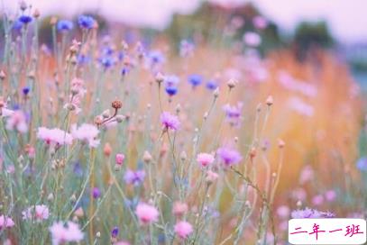 充满希望的正能量句子 鼓舞所有人的励志哲理文字1