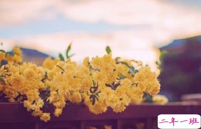 充满希望的正能量句子 鼓舞所有人的励志哲理文字2