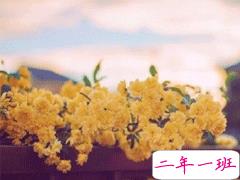 充满希望的正能量句子 鼓舞所有人的励志哲理文字