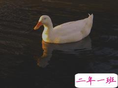 甜蜜的给情侣留言的句子 你来的话日子会甜一点