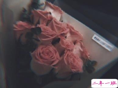 优美有内涵的句子摘选 令人印象深刻的哲理句子2