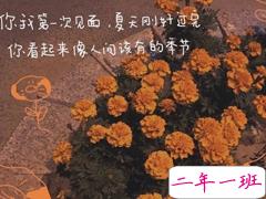 有关生活中的唯美爱情语录 多巴胺决定天长地久