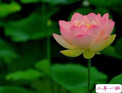 2019八月哲理说说心情短语 新的八月新的开始哲理句子1