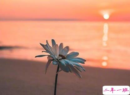 2019八月哲理说说心情短语 新的八月新的开始哲理句子2