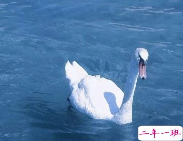 抖音精辟的哲理短句 青春路上教会你成长的哲理句子2