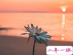 2019八月哲理说说心情短语 新的八月新的开始哲理句子