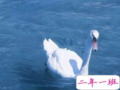 抖音精辟的哲理短句 青春路上教会你成长的哲理句子