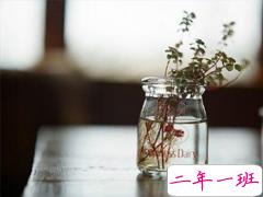 28句哲理说说人生感悟 穿透人心的哲理美句