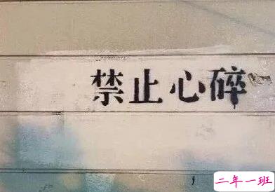 相遇就好好珍惜的爱情说说 有趣有爱不负心中热爱1