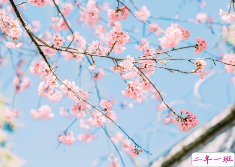 朋友圈适合发的爱情短语说说 桃子汽水味的心动2