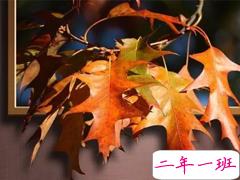 早安心语给所有人心灵鸡汤 最温暖的早安哲理句子