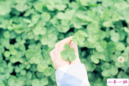 人生哲理句子大全唯美简短 迷茫人必看的哲理句子1