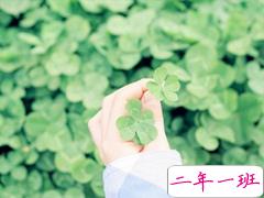 人生哲理句子大全唯美简短 迷茫人必看的哲理句子