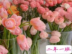 想脱单恋爱的心情句子 请允许我成为你的夏季