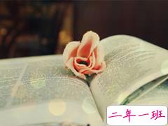 空间置顶短句大全独一无二 有哲理的qq空间置顶说说