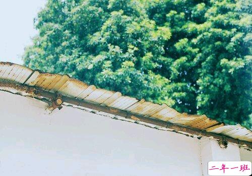 2019激励自己奋斗的话 致自己的经典哲理句子大全1