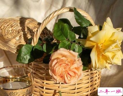 特别甜的爱情说说 00后最爱的爱情甜句子1