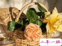 特别甜的爱情说说 00后最爱的爱情甜句子