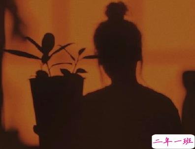 被爱情刺伤的悲伤说说 没有爱就没有伤害1