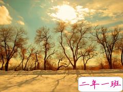 新的一年新的开始的哲理句子 充满阳光的正能量句子大全