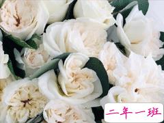 521情话句子大全 很甜很酥的521说说2020