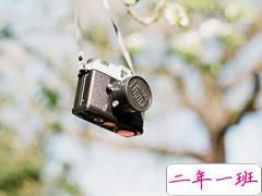 关于理想和梦想的经典哲理句子大全 浓浓的正能量心灵鸡汤句子