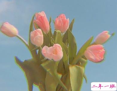 2020最火爱情句子 十分撩人的爱情说说2