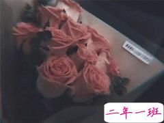 抖音最火单身文案 超级搞笑有趣的单身句子