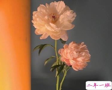 最暖心高级的情话句子 一个你一颗心一心一意1