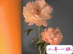 最暖心高级的情话句子 一个你一颗心一心一意