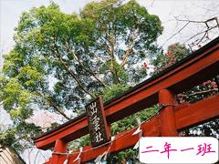 很经典精辟的哲理句子 感悟人生追逐梦想的经典哲理句子