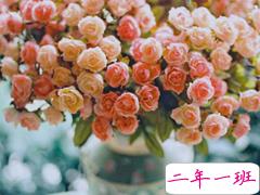 生活中很有哲理的经典句子 简单却很精辟的句子