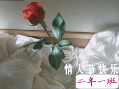 2月14情人节表白句子 2020情人节撩人句子