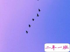 外表坚强内心破碎的伤感说说 女生被爱所困的句子