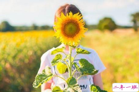 2018人生哲理的句子带图片带字 很精辟的人生哲理句子配图14条1