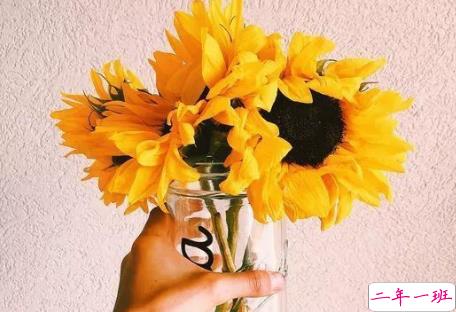 2018人生哲理的句子带图片带字 很精辟的人生哲理句子配图14条3