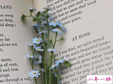 回忆过去的伤感爱情说说 永远忘不掉某人的说说2