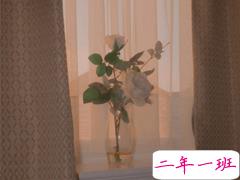 女孩子自拍发朋友圈的沙雕句子 2021俏皮又可爱的配图说说