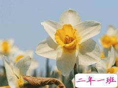 高质量可爱又温柔的抖音文案 抖音热门文案大全