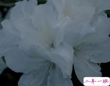 用一句话安慰刚分手的人 安慰失恋人的句子温暖走心1