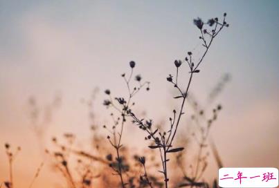 结婚纪念日说说温暖甜蜜 关于结婚纪念日的说说大全1