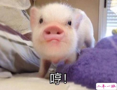 沙雕搞笑的微信状态说说 超级搞笑有趣的微信状态句子1