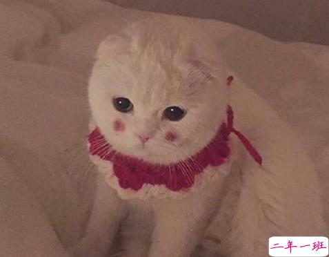 沙雕搞笑的微信状态说说 超级搞笑有趣的微信状态句子2